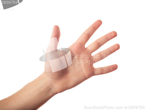 Image of Five fingers isolated on white background