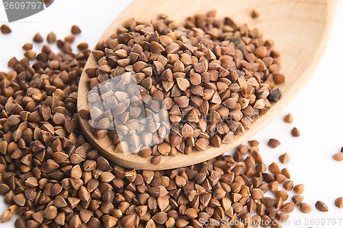 Image of Buckwheat seeds on wooden spoon in closeup 