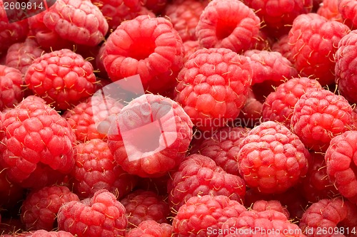 Image of Raspberries
