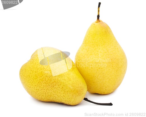 Image of Pear