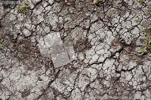 Image of Dry land