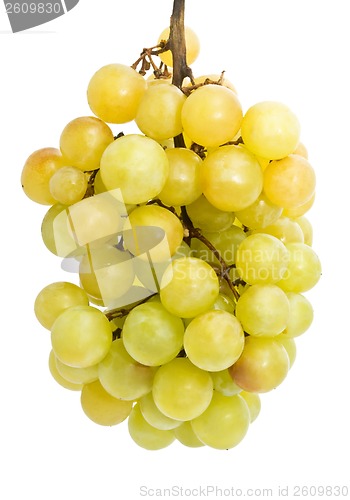 Image of Grapes