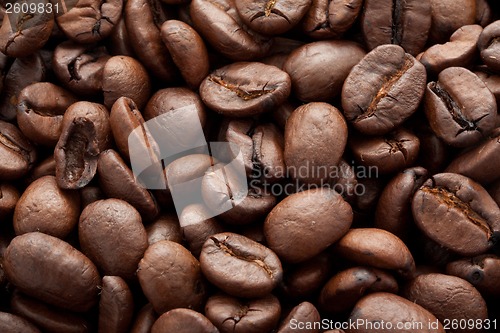 Image of Coffee beans