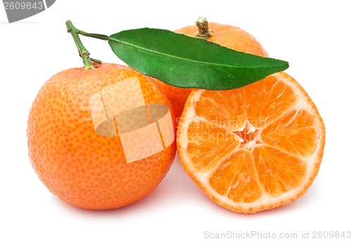 Image of Tangerines