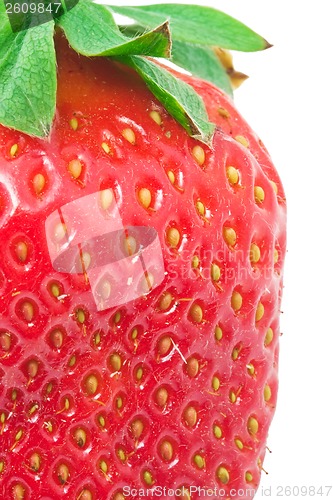 Image of Strawberry