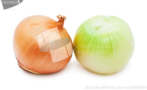 Image of Onion