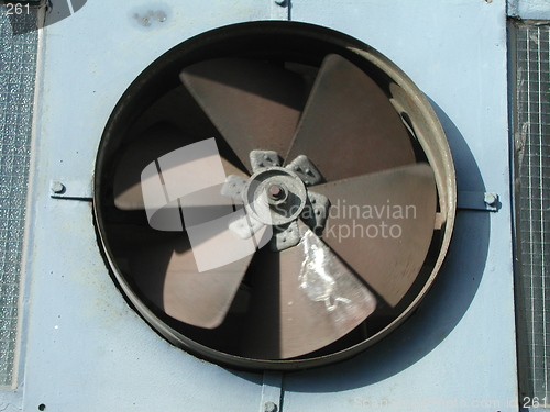 Image of Fan