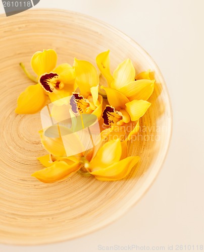 Image of closeup of wooden bowl with orchid flowers