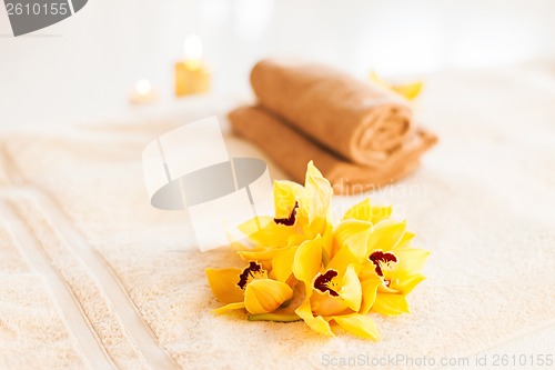 Image of closeup of vase, flowers and oil