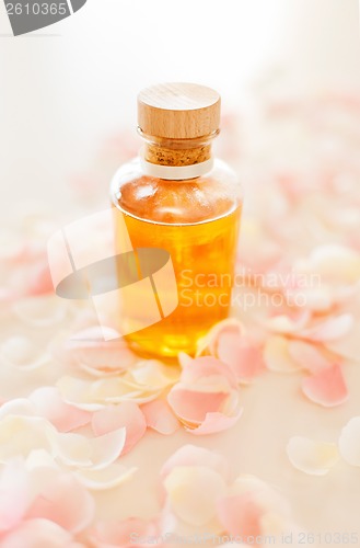 Image of closeup of essential oil and rose petals