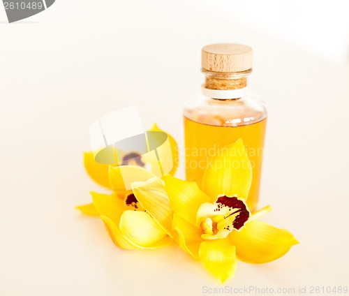 Image of closeup of essential oil and orchid flowers