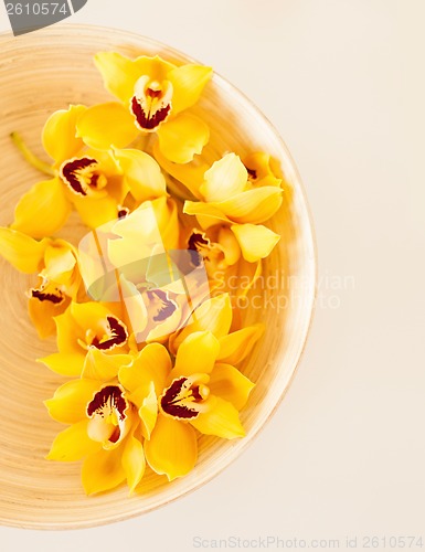 Image of closeup of wooden bowl with orchid flowers