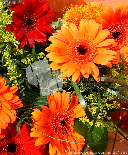 Image of Gerbera daisies