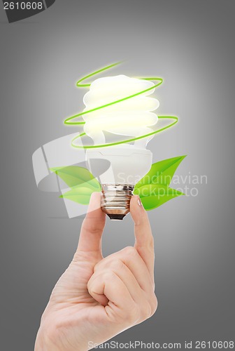 Image of close up of woman hand holding light bulb