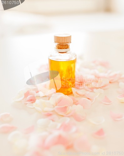 Image of closeup of essential oil and rose petals