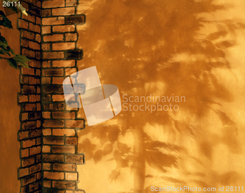 Image of Wall With Tree Shadow
