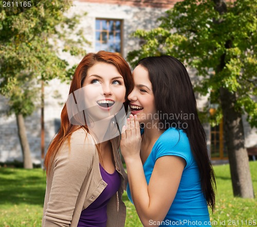 Image of two smiling girls whispering gossip