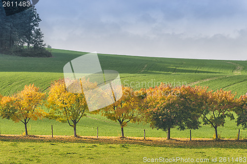 Image of Saxon Switzerland autumn landscape