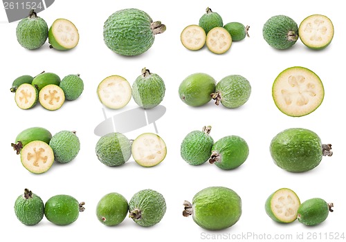 Image of Feijoa