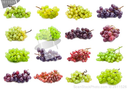 Image of Grapes