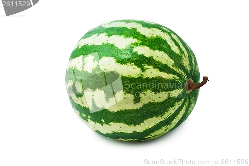 Image of Watermelon