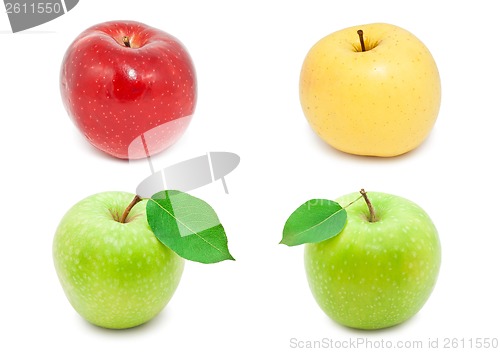 Image of Apples