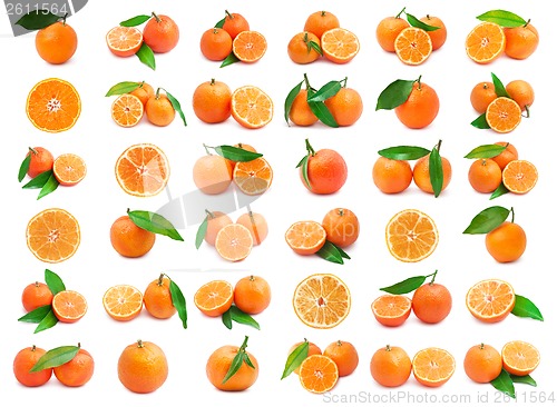 Image of Mandarins