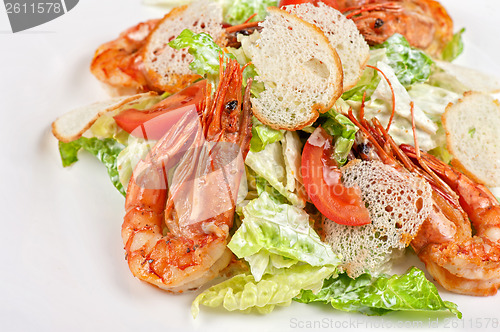 Image of Tasty shrimp salad