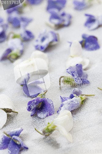 Image of Candied violets