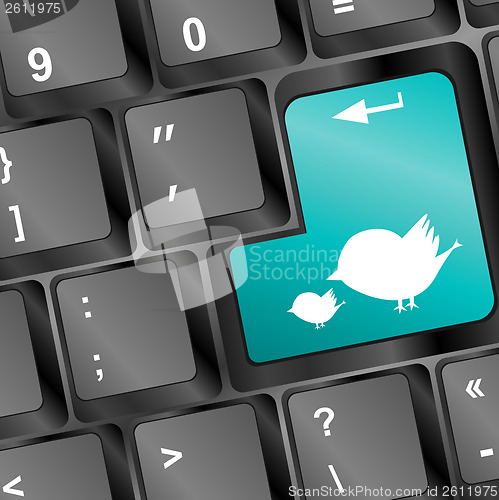 Image of Button keyboard key, keypad with bird family closeup