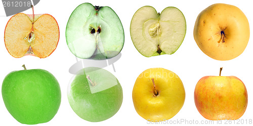 Image of Apple isolated