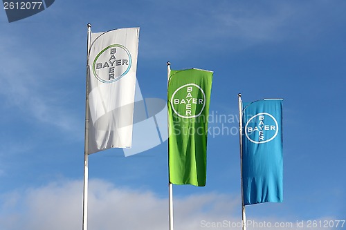 Image of Bayer Flags against Blue Sky