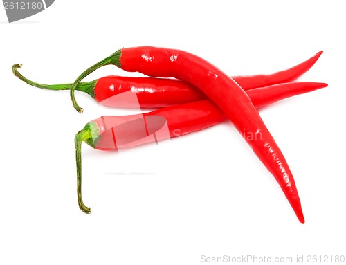 Image of Hot chili pepper