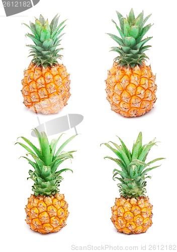 Image of Pineapple