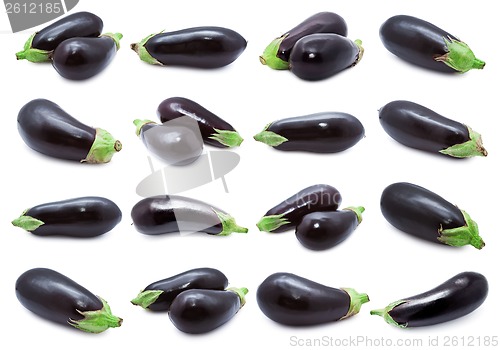 Image of Aubergine