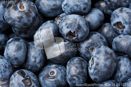 Image of Blueberries