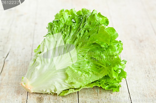 Image of fresh green salad 