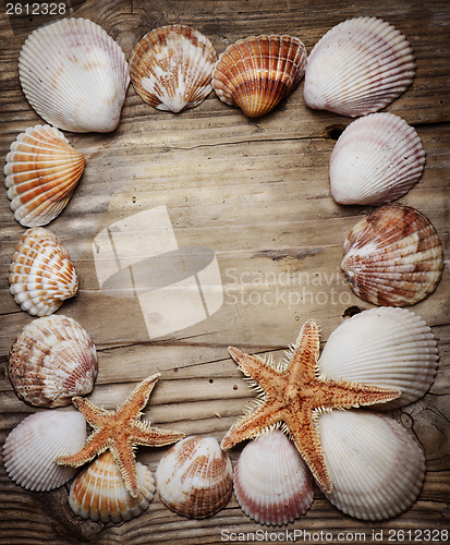 Image of Seashell Frame