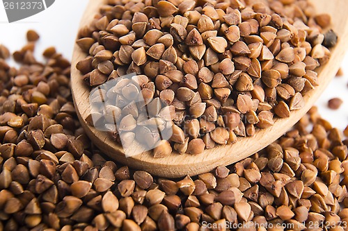 Image of Buckwheat seeds on wooden spoon in closeup 