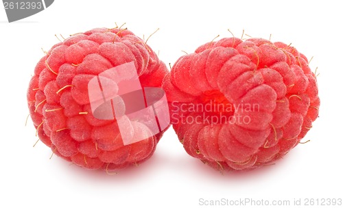 Image of Fresh raspberries