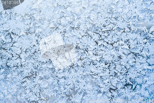 Image of Frost pattern