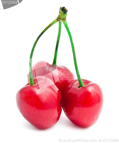 Image of Red cherry