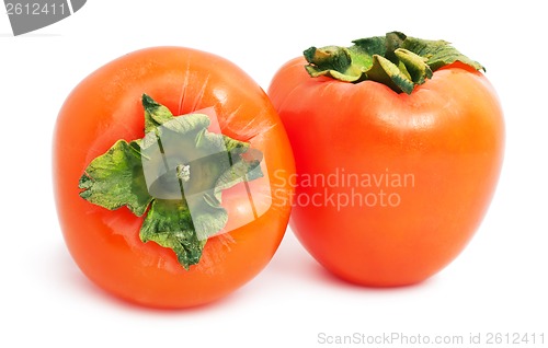 Image of Persimmon
