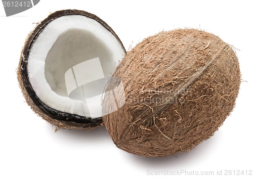 Image of Coconut