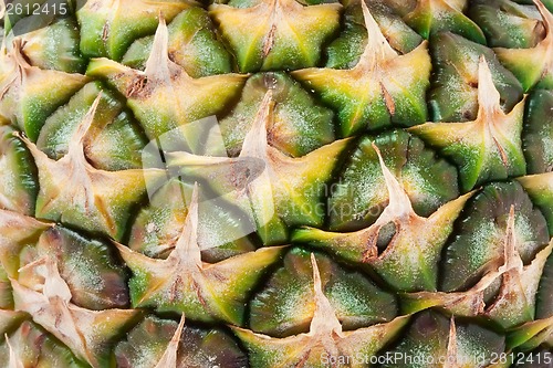 Image of Pineapple