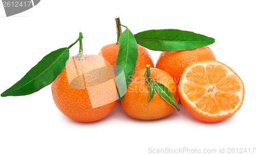 Image of Tangerines