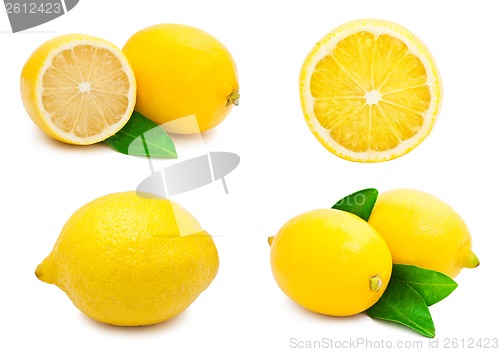 Image of Lemon