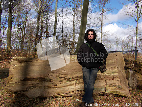 Image of Huge Tree