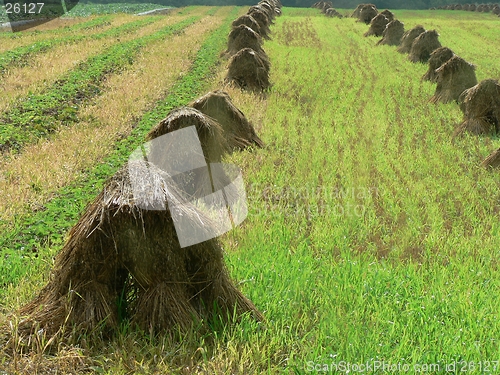 Image of Haystacks 2