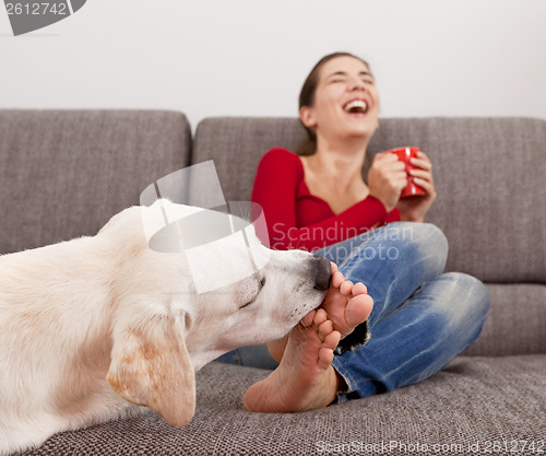 Image of Dog licking the toes